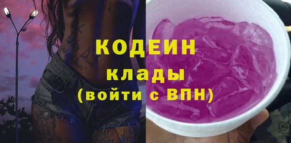 шишки Надым