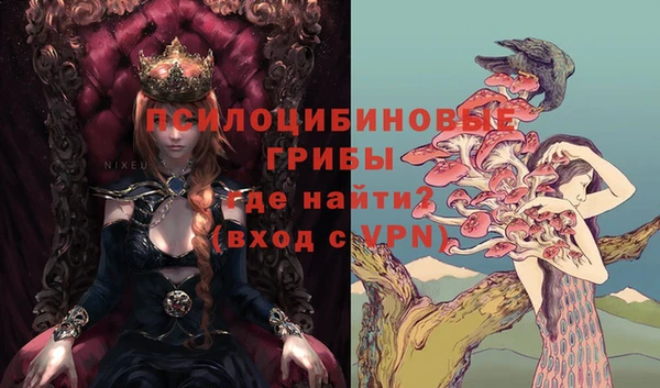 шишки Надым