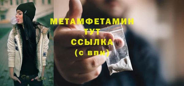 шишки Надым