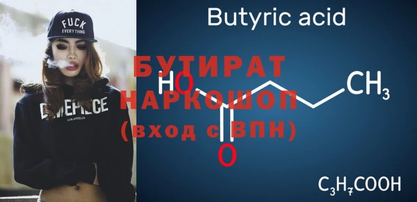 шишки Надым