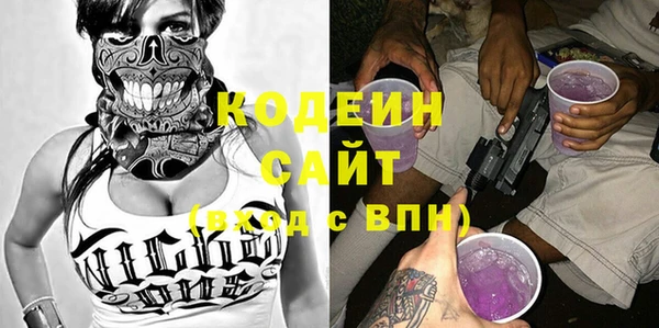 шишки Надым