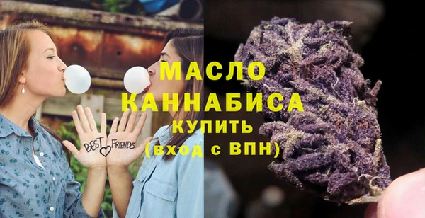 шишки Надым