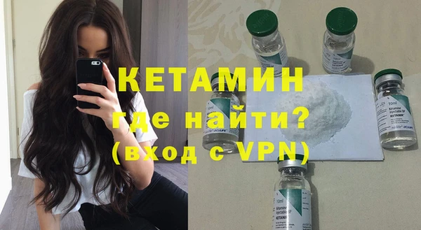 шишки Надым