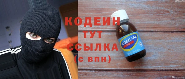 шишки Надым