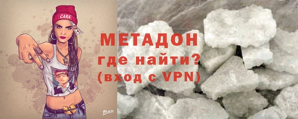 шишки Надым