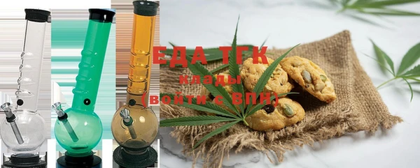 шишки Надым