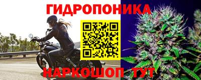 мяу мяу кристалл Обь