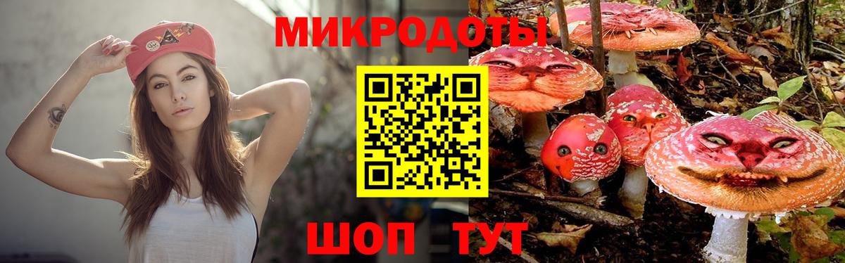 Отрадный  Псилоцибиновые грибы Psilocybine cubensis  Вход с VPN 