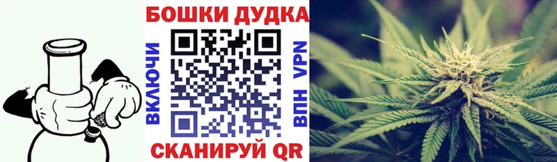 где купить наркотик  Отрадный  Конопля план 